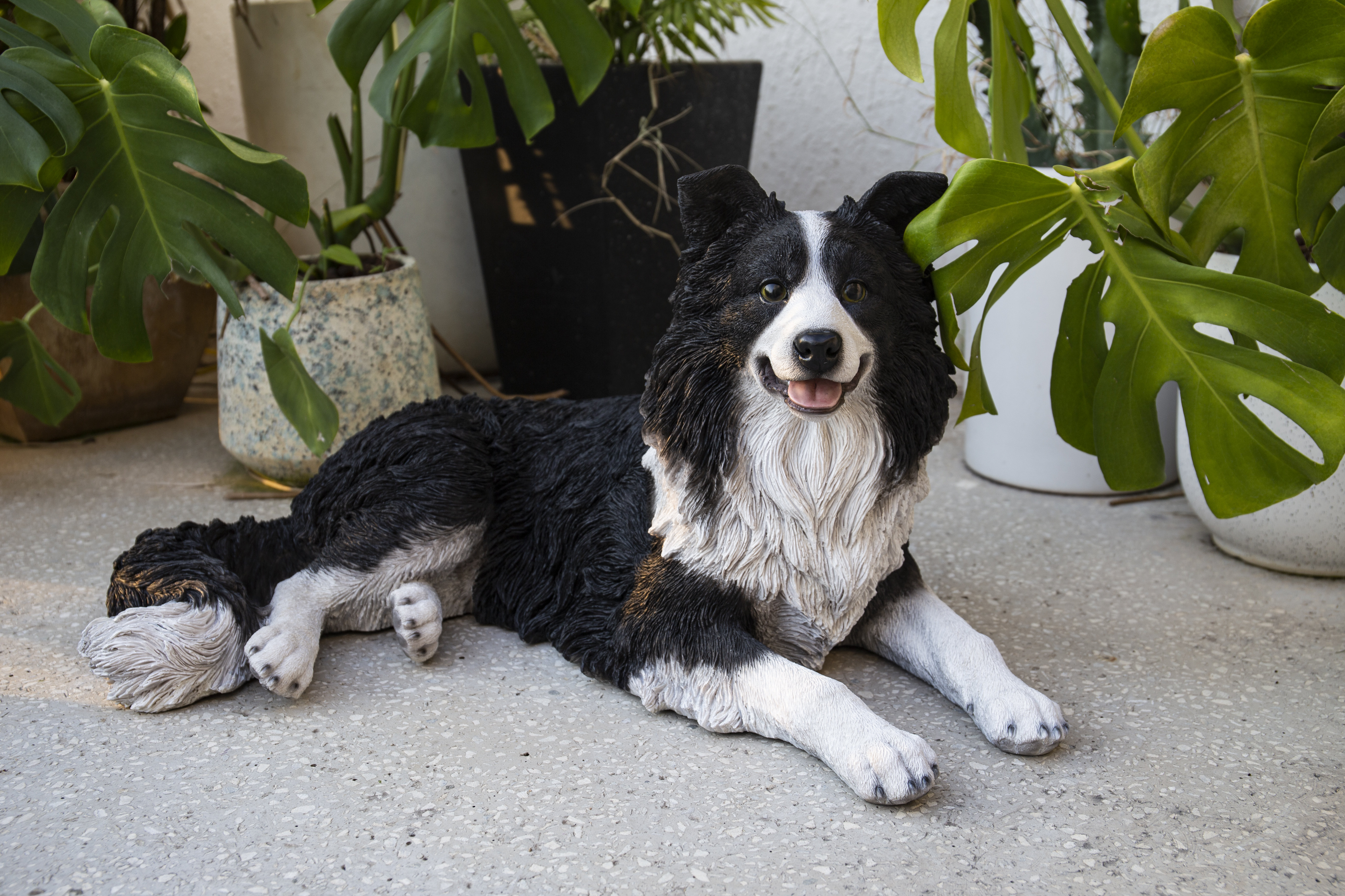 Hi-Line Gift Ltd. Lying Border Collie & Reviews | Wayfair